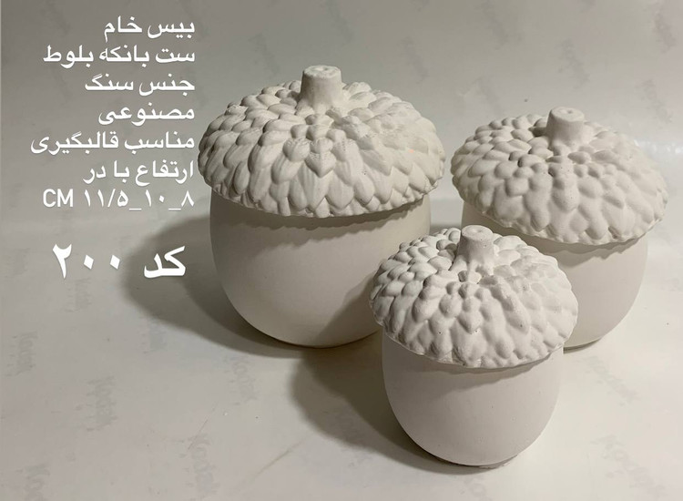 بانکه های بلوط