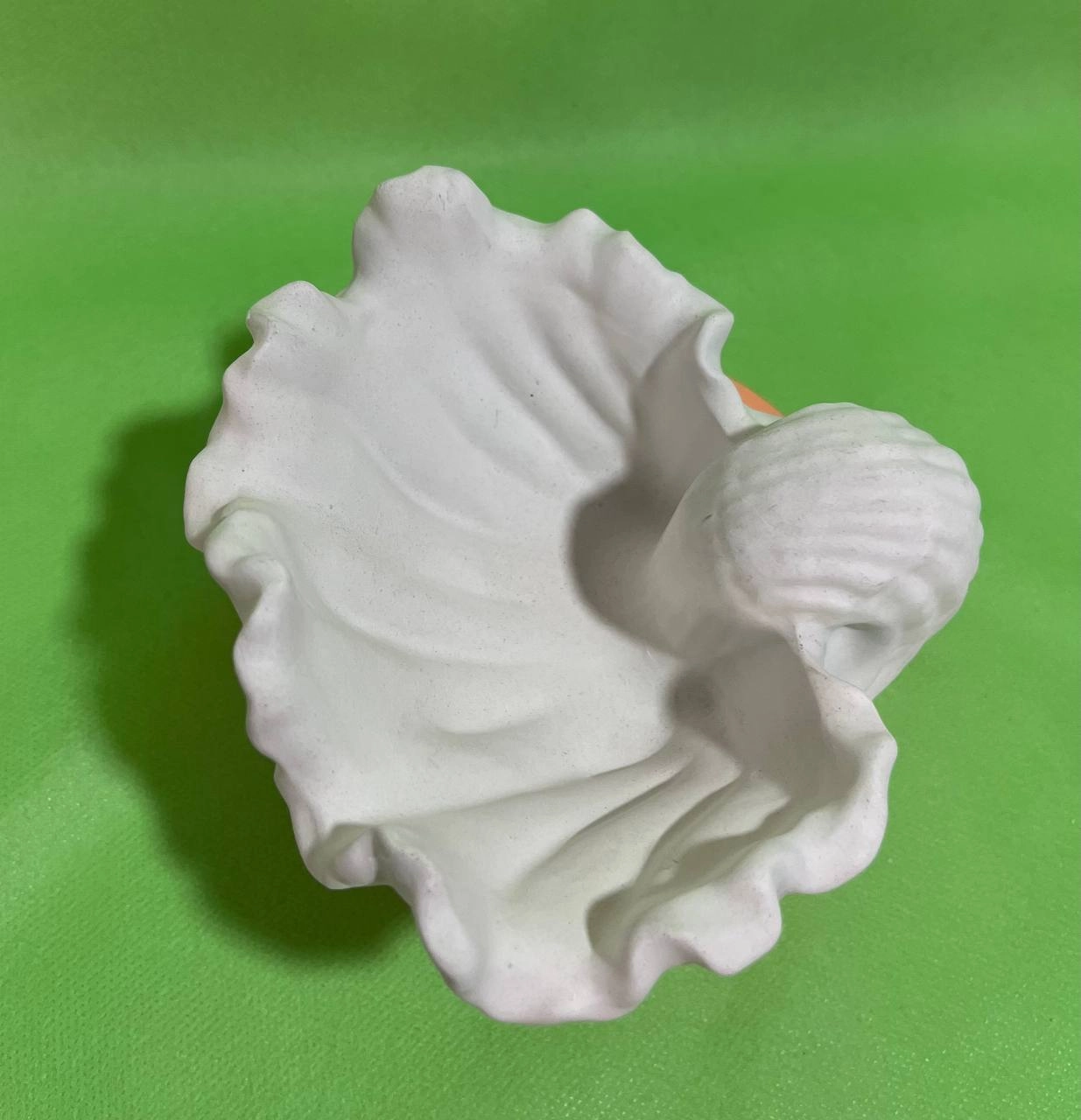 صدف ژورنالی