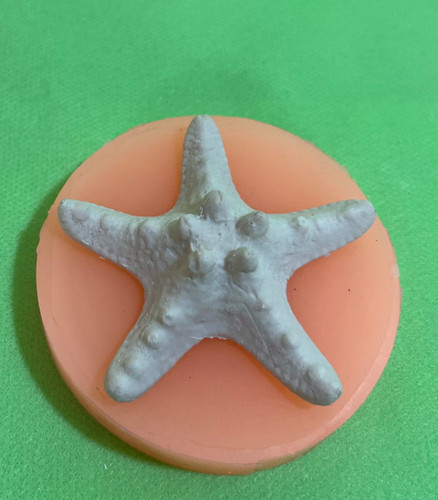 ستاره دریایی