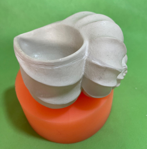 گوش ماهی پیچی