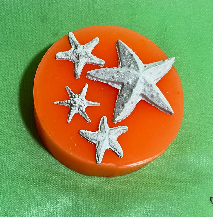 ستاره دریایی